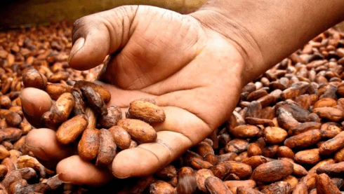 Las exportaciones de chocolate peruano crecieron 67% en el primer bimestre de&nbsp;2026